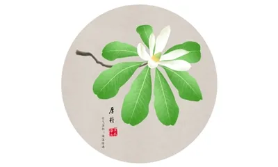 Pomáhá Honokiol prášek se spánkem?