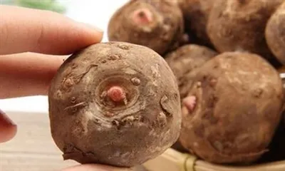 K čemu je extrakt z kořene Konjac dobrý?